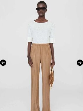 Anine Bing Pleated Wide-Leg Billie Pants in Butterscotch